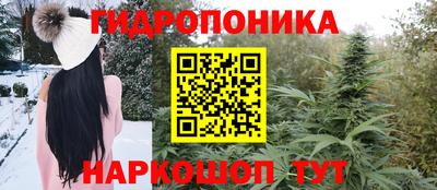 2c-b Кимры